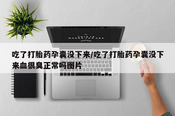 米非司酮片米索前列醇片网店在线购买吃了打胎药孕囊没下来/吃了打胎药孕囊没下来血很臭正常吗图片
